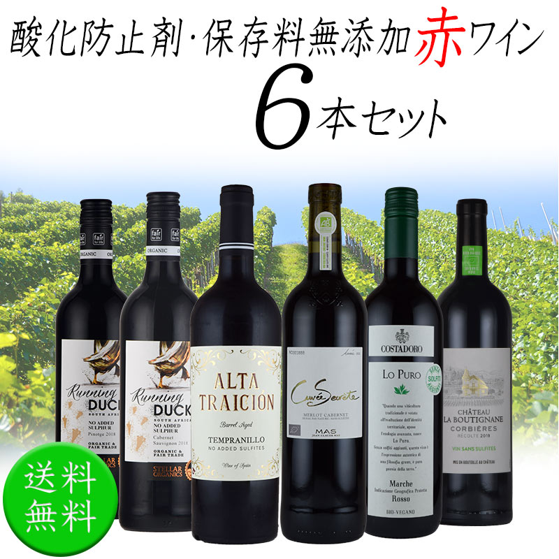 ワインセット 酸化防止剤 保存料 無添加ワイン ナチュラルワイン オーガニックワイン 赤ワイン 6本 セット 送料無料 フランス イタリア スペイン 南アフリカ 750mlx6本 お中元 ワイン SO2無添加 inter-mic-10001012 ワイン・日本酒の神田商店 サンプル画像3
