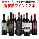 赤ワインセット 送料無料 オーガニックワイン も入った 厳選 & お手頃 ワインセット スペイン イタリア チリ 12本セット 750mlx12本 ホワイトデー