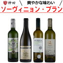 ワイン飲み比べセット 白ワインセット ソーヴィニョン・ブラン 4本 飲み比べセット 送料無料 母の日