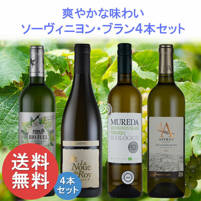 ソーヴィニョン・ブラン 4本 飲み比べセット 送料無料 敬老の日