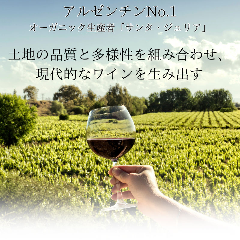 アルゼンチン産 酸化防止剤 無添加 オーガニック ワイン 2本 セット 赤 白 天然酵母 サンタ・ジュリア 送料無料 inter-mic-10001651 ワイン・日本酒の神田商店 サンプル画像3