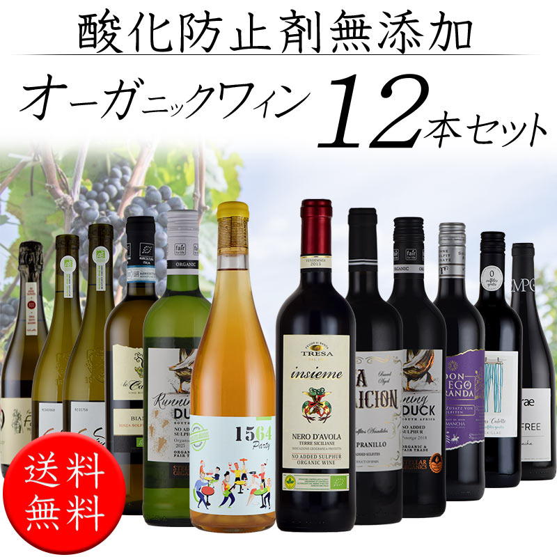 酸化防止剤 保存料 無添加ワイン オーガニックワイン 赤 白 オレンジ　泡 ワイン 12本 セット 送料無料 SO2無添加 お中元 inter-mic-10001030 ワイン・日本酒の神田商店 サンプル画像2