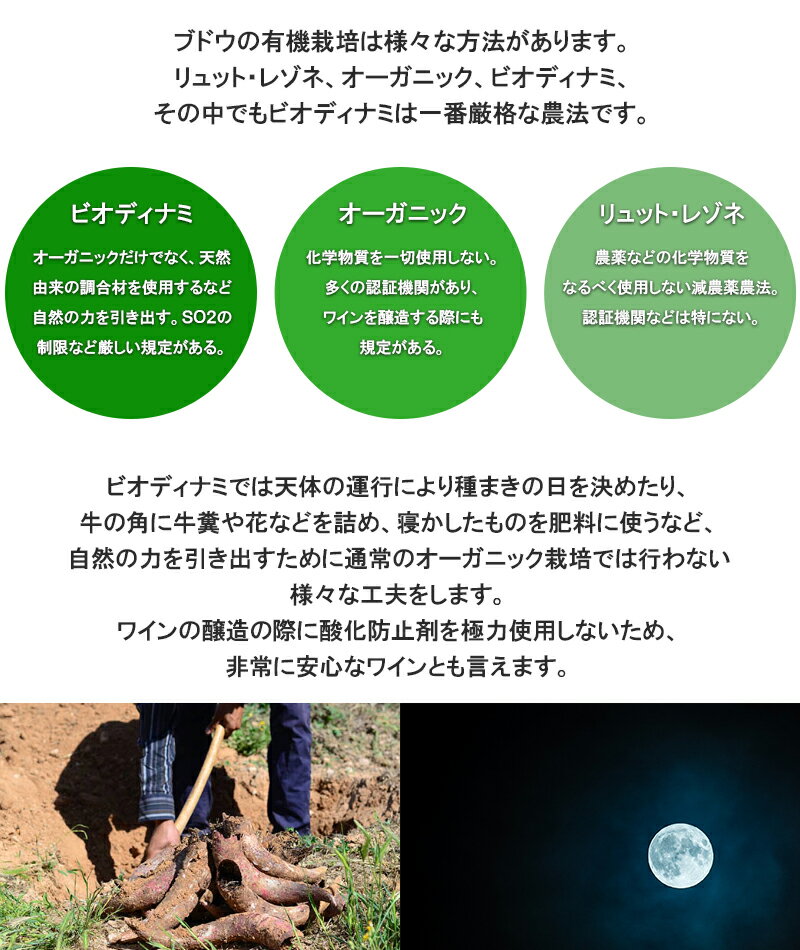 オーガニックワイン 送料無料 ビオディナミ ビオ ワインセット 5本 白 赤 お中元 inter-mic-10000691 ワイン・日本酒の神田商店 サンプル画像3