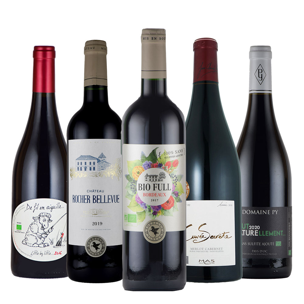 送料無料 酸化防止剤無添加 フランス 産 赤ワイン 5本 セット ボルドー ラングドック ホワイトデ ...