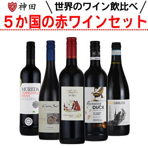 送料無料 ワインセット 世界5ヵ国 赤ワイン 飲み比べ チリ 南アフリカ 南アフリカ フランス スペイン5本 母の日