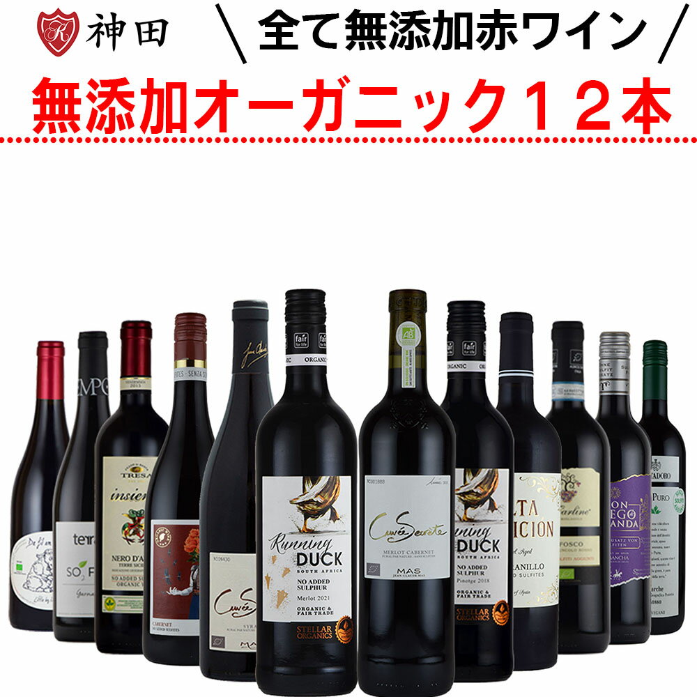 酸化防止剤 無添加ワイン オーガニックワイン 赤 12本 セット 送料無料 父の日 SO2無添加