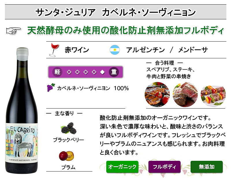 サンタ・ジュリア カベルネ・ソーヴィニヨン ナチュール 酸化防止剤無添加 オーガニック 赤 ワイン アルゼンチン フルボディ inter-mic-10001692 ワイン・日本酒の神田商店 サンプル画像2