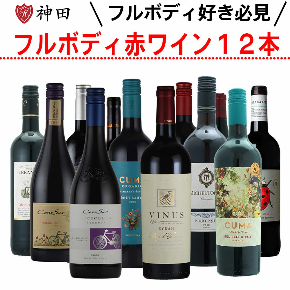 赤ワインセット 全てフルボディ 12本 送料無料 飲み比べ オーガニックワイン入り 父の日