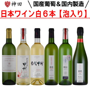 日本ワインセット 送料無料 6本 飲み比べ 金賞ワイン 入り 大和葡萄酒 甲州 山梨 勝沼 お中元