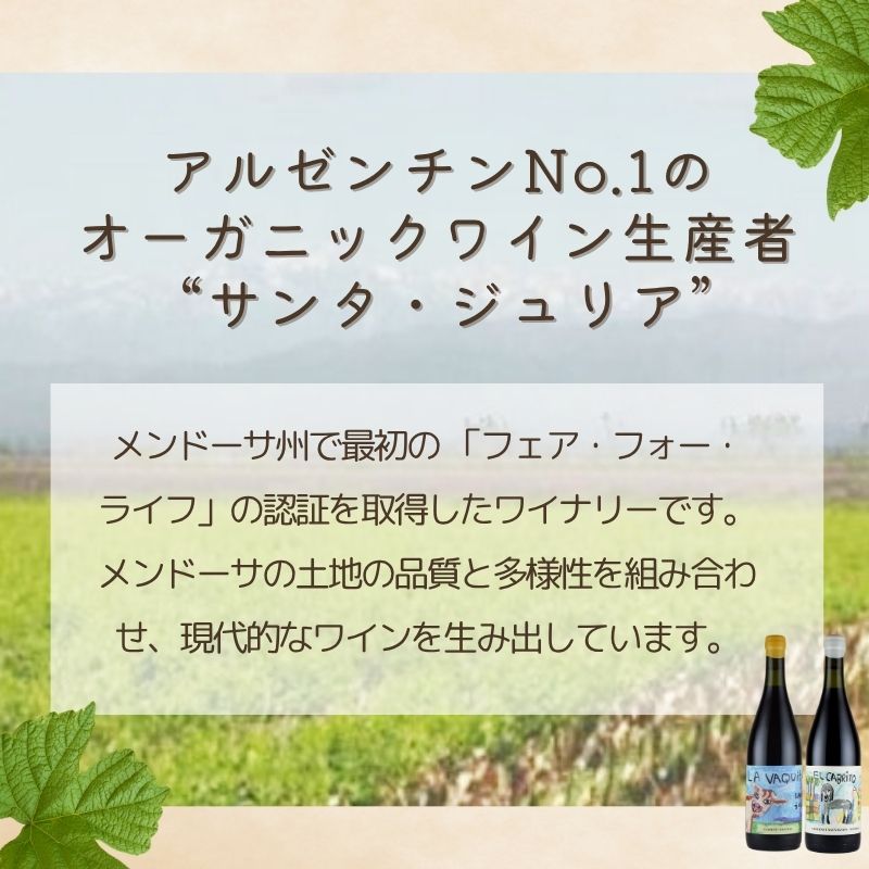 サンタ・ジュリア 飲み比べ 7本セット 送料無料 SO2無添加 アルゼンチン オーガニック ワイン お中元 inter-mic-10001731 ワイン・日本酒の神田商店 サンプル画像3
