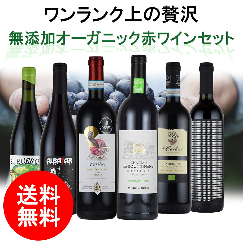 ナチュラルワイン ワンランク上の 酸化防止剤 無添加 オーガニック 赤 ワイン 6本 セット 高級 送料無料 SO2無添加 inter-mic-10001434 ワイン・日本酒の神田商店 サンプル画像2