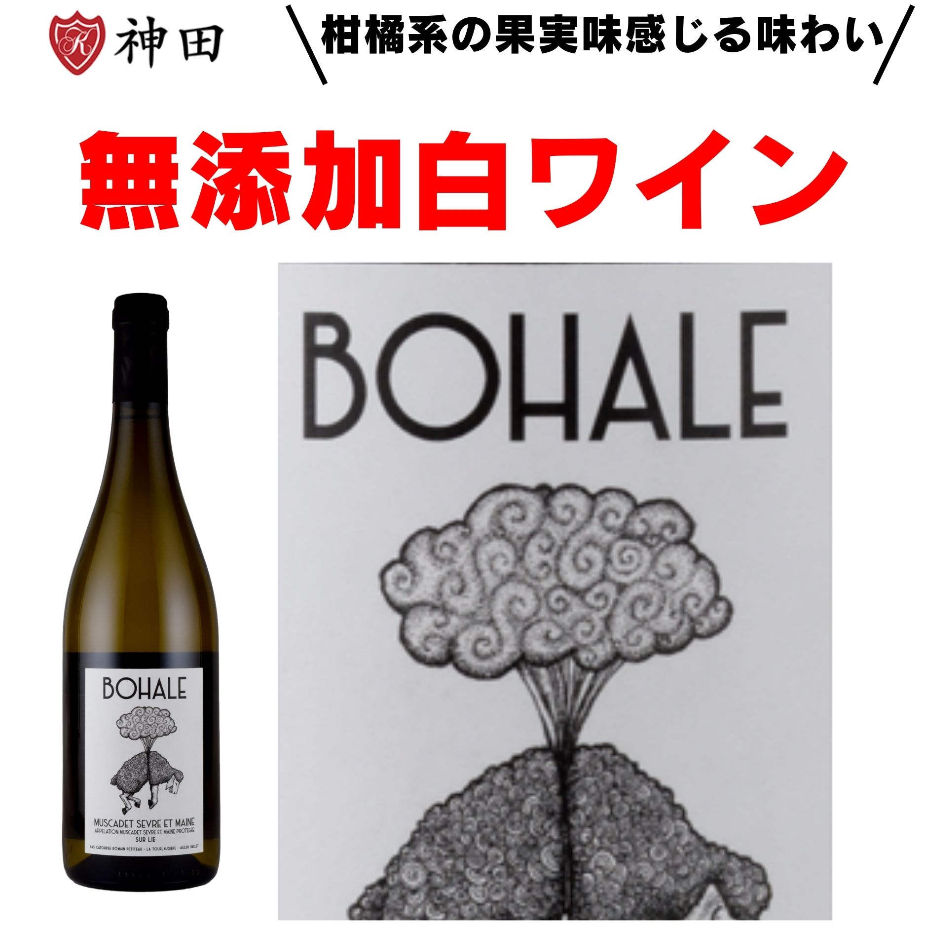 トゥロディエル ボアル ミュスカデ・セーヴル・エ・メーヌ シュール・リー 酸化防止剤無添加 フランス 白 ワイン ホワイトデー