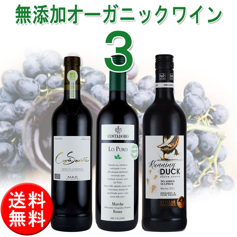 ワインセット 酸化防止剤 保存料 無添加 ナチュラルワイン オーガニックワイン セット 3本 送料無料 無添加ワインリスト付き ハロウィン ワイン SO2無添加 あと3本同梱可能 inter-mic-10000985 ワイン・日本酒の神田商店 サンプル画像2