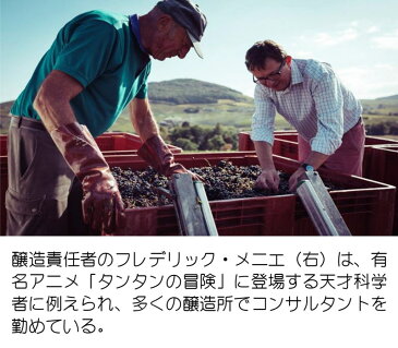 ヴァン・ナチュール・ア・ブティナー 酸化防止剤無添加 フランス ボジョレー 赤 ワイン お中元