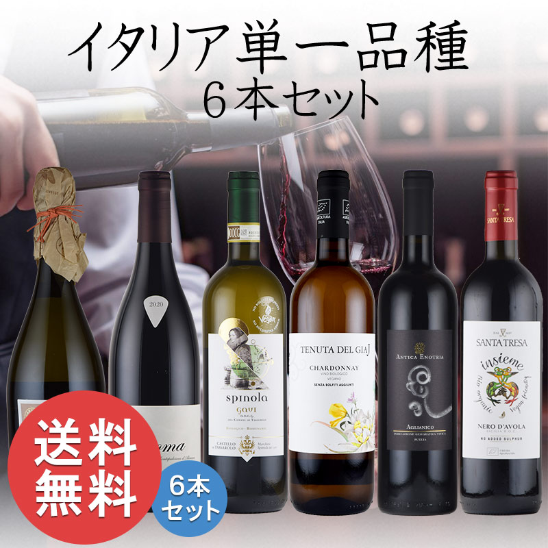 イタリアワイン 単一品種 オーガニック 泡白赤 飲み比べ 6本 セット ソムリエ ワインエキスパート 試験対策 にも 送料無料 お中元 inter-mic-10001356 ワイン・日本酒の神田商店 サンプル画像2