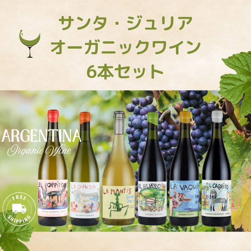サンタ・ジュリア 飲み比べ 6本セット 送料無料 SO2 無添加 アルゼンチン ナチュラル ワイン オーガニック お中元 ナチュラルワイン inter-mic-10001693 ワイン・日本酒の神田商店 サンプル画像2