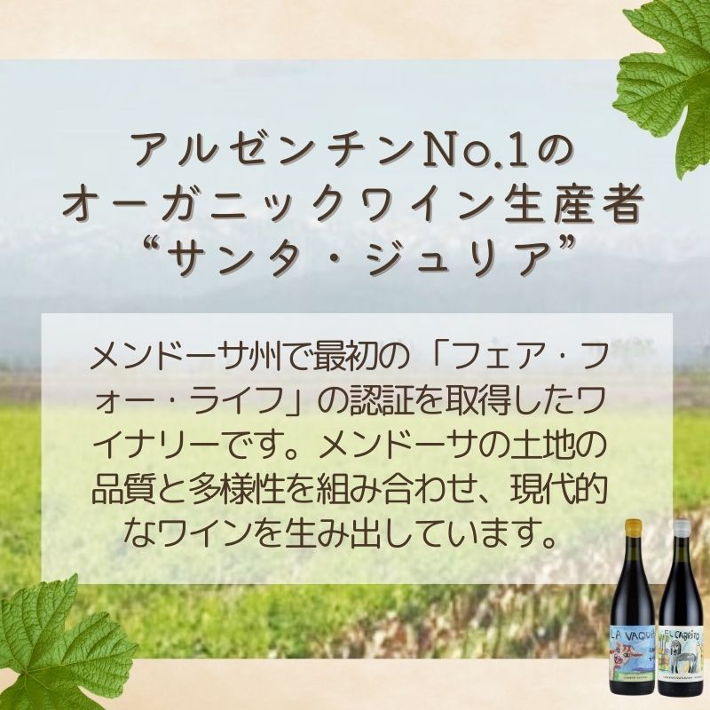 サンタ・ジュリア 飲み比べ 6本セット 送料無料 SO2 無添加 アルゼンチン ナチュラル ワイン オーガニック お中元 ナチュラルワイン inter-mic-10001693 ワイン・日本酒の神田商店 サンプル画像3