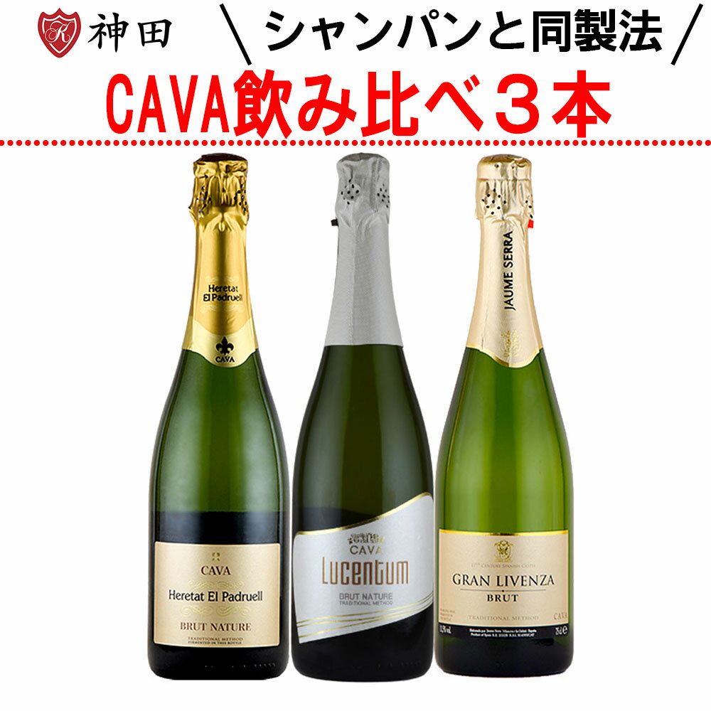 スパークリング ワイン セット 辛口 送料無料 CAVA スペイン カヴァ カバ 3本 マカベオ 父の日