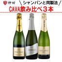 スパークリング ワイン セット 辛口 送料無料 CAVA スペイン カヴァ カバ 3本 マカベオ 母の日