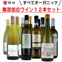 酸化防止剤 無添加ワイン オーガニックワイン 白 12本 飲み比べ セット 送料無料 ハロウィン SO2無添加