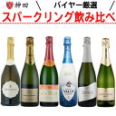 スパークリング ワイン セット 送料無料 泡 カバ シャンパン製法のCAVA 入り 6本 母の日