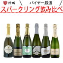 スパークリング ワイン セット 送料無料 泡 カバ シャンパン製法のCAVA 入り 6本 お中元