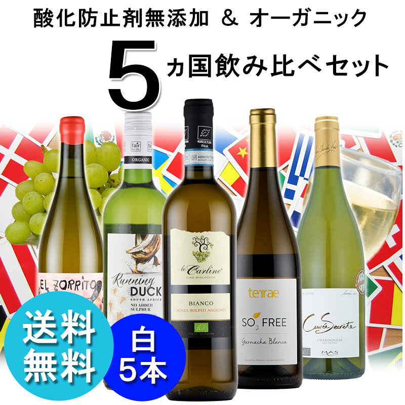 白ワイン 辛口 酸化防止剤 無添加ワイン オーガニックワイン 5ヵ国 5本 セット 送料無料 お中元 SO2無添加 inter-mic-10001457 ワイン・日本酒の神田商店 サンプル画像2