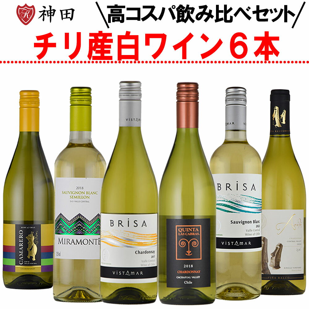 ワイン飲み比べセット 送料無料 チリ 産 白 ワイン 6本 セット 飲み比べ セントラル・ヴァレー 母の日