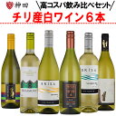 ワイン飲み比べセット 送料無料 チリ 産 白 ワイン 6本 セット 飲み比べ セントラル・ヴァレー 母の日