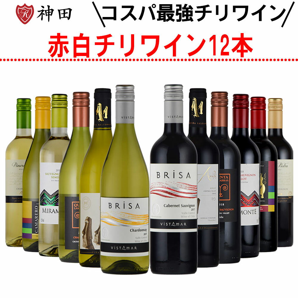 チリワイン 送料無料 チリ ワイン 赤 白 12本セット 飲み比べ カベルネ・ソーヴィニョン シャルドネ 父の日