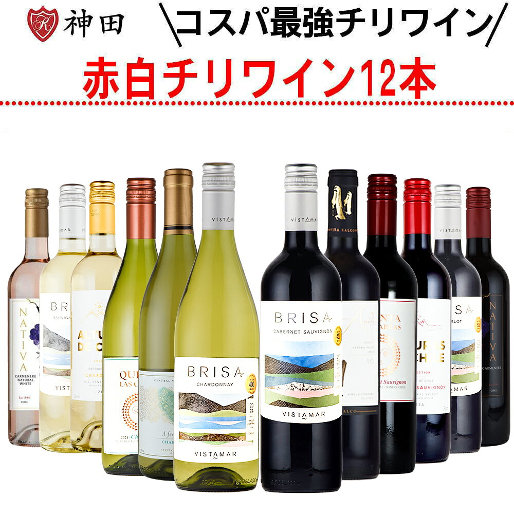 送料無料 チリ ワイン 赤 白 12本セット 飲み比べ カベルネ・ソーヴィニョン シャルドネ 敬老の日 ワインセット