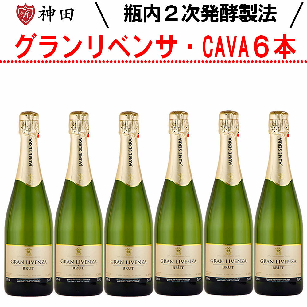 CAVA まとめ買い グラン・リベンサ 6本 セット スパークリング スペイン ハウメ・セラ 社 辛口 送料無料 母の日