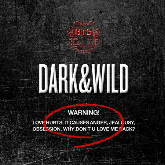 BTS - DARK & WILD (1st Album) heNc o^ ΂񂽂 Ao CD ؍