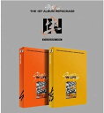 Stray Kids - IN生 1ST ALBUM REPACKAGE : IN LIFE リパッケージアルバム ストレイキッズ K-POP 韓国盤 送料無料