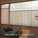 プリーツスクリーン もなみ 25mm ニチベイ 魯山 M5084〜M5089 シングルスタイル(コード式) 幅120.5〜160cm×高さ61〜100cmまで(3)