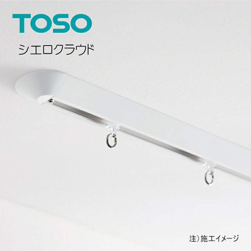 カーテンレール トーソー シエロクラウド 仕切り 静音 レール 北欧 モダン部品販売 ジョイントピン（1本入り）