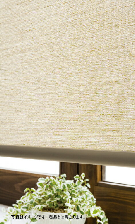 タチカワ ロールスクリーン ラルク 防炎 ウォッシャブル 生地:ファーム RS8026 幅160.5〜200cmX丈201〜250cmまで(シールドなし) [2]