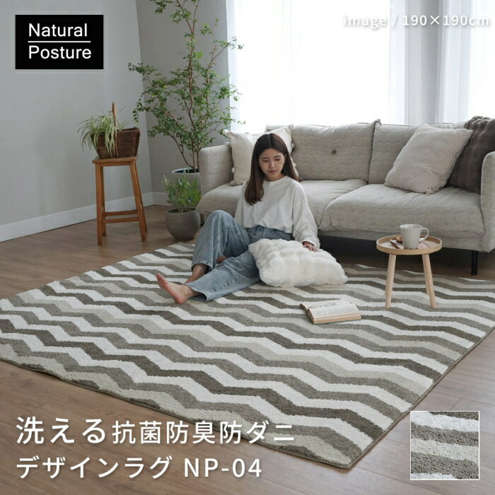 洗える 抗菌 防臭 防ダニ デザインラグ 滑り止め加工 手洗いOK 床暖房 ホットカーペットカバーOK 長方形 Natural Posture NP-04 約190X240cm