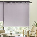 ロールスクリーン オーダー ニチベイ ソフィ 防炎 ラフィ N8001〜N8024 幅30.5〜50cmX高さ121〜160cm(3)