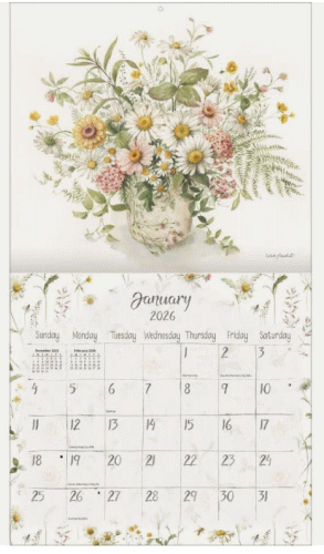 2026ǯ�١���󥰼�����������/�������������顼�������󥺥�� LANG Watercolor Seasons 2025 �������� ���� Lisa Audit ����ȥ꡼ �ܥ��˥��� 340��610mm ͢���������� ����ƥꥢ ����7ǯ ��