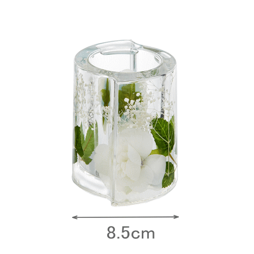 ����������� �ե꡼������� �ۥ磻�ȡ��֥롼������� ��ʪ���� �Х� �� ������ �֤䤫 ���쥬��� �ڤ䤫 ���˥��꡼