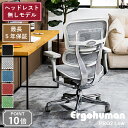 エルゴヒューマン プロ2 ヘッドレスト無しモデル Ergohuman PRO2 Low オフィスチェア 多機能チェア 高機能 ランバーサポート ハイブリッド リクライニング 座面昇降 奥行調節 アーム調整 ヘッドレスト 腰痛軽減 ゲーミングチェア オフィス デスクチェア 椅子 メッシュ 高級