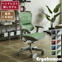 エルゴヒューマン プロ2 ヘッドレスト無し 新基盤 Ergohuman PRO2 Low オフィスチェア 多機能チェア 高機能 ランバーサポート ハイブリッド リクライニング 座面昇降 奥行調節 アーム調整 キャスター付き 腰痛軽減 ゲーミングチェア オフィス デスクチェア 椅子 メッシュ