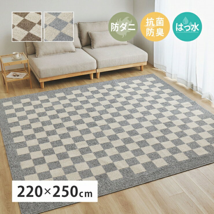 Rakuten - 【楽天スーパーSALE 期間限定！特別クーポン配布中！】日本製 ダイニングラグ モニカ 幅220cm 奥行き250cm 国産 抗菌 防臭 防ダニ はっ水加工 ホットカーペット対応 床暖房対応 長方形 ループパイル リビング ダイニング 玄関マット キッチンマット 上品 高級感