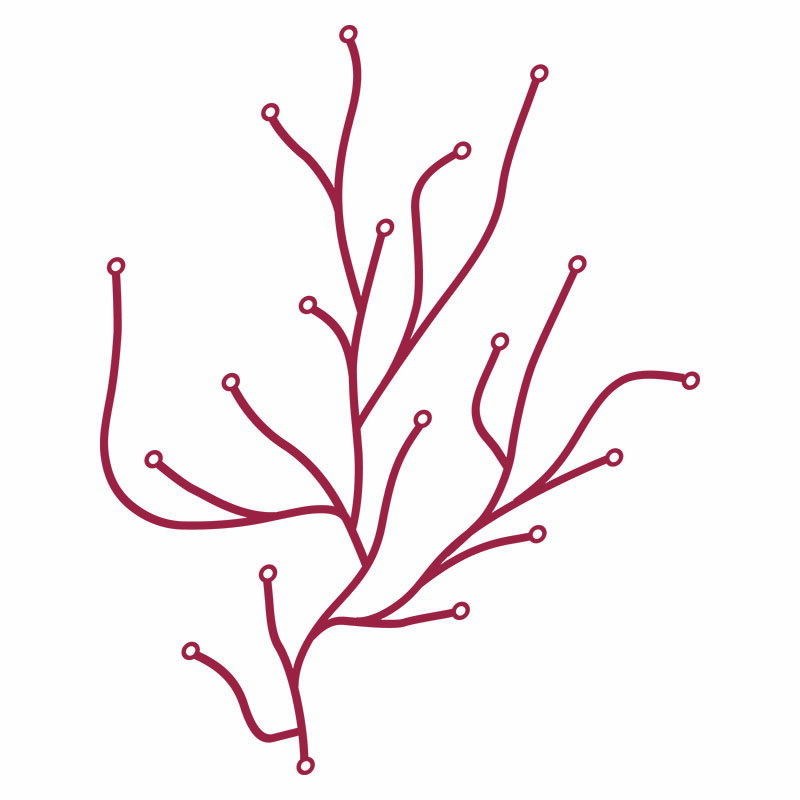 【正規品】vitra ヴィトラ Algue アルギュ red レッド Ronan & Erwan Bouroullec ロナン&エルワン・ブルレック　W25.7×H32cm 37g 25本1セット (約1m) 215 047 04