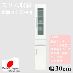 https://thumbnail.image.rakuten.co.jp/@0_mall/interior-daiki/cabinet/024/imgrc0063462763.jpg