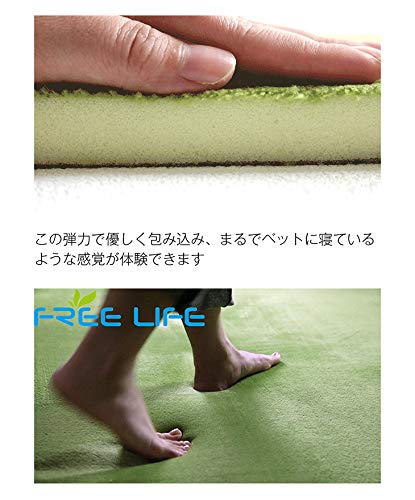 フリーリー ラグ 低反発ラグ 極厚25 200×200m 抗菌?防ダニ加工 厚手 ラグマット カ...