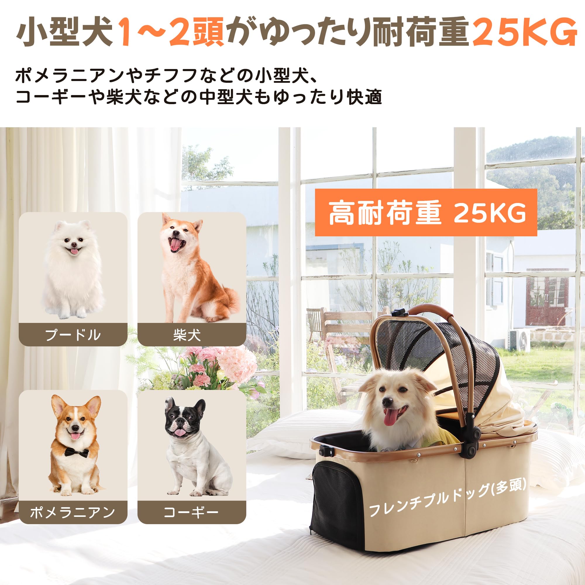 �ڥåȥ����� �� �Х��� 4�� ���Ѥ����� ������ �淿�� ¿Ƭ �ڥåȥ���꡼������ ��󥿥å��ޤ���� ������������ ʬΥ��
