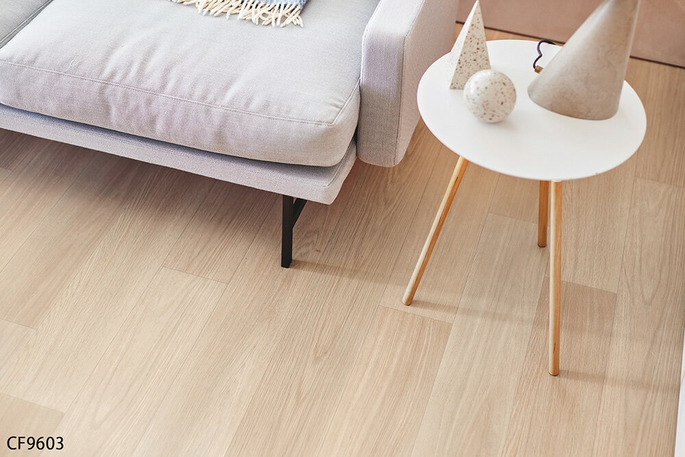 ��� CF������-H �����ѥ��å����ե�����CF9603��CF9604�ʥ���ե����������˹������륹 �ե������ ������� �͵�