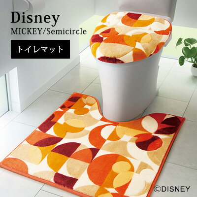 Disney HOME Seriesۥޥå ȥޥå ߤ ǥˡ ̲ Disney zone 饤 / ڥߥå ߥۥȥޥåȡ6060cmDTM-5004